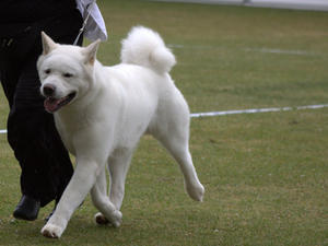 Murphy on the move