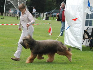 On The Move
