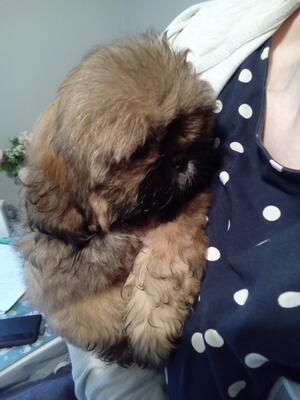 Freyja first day home