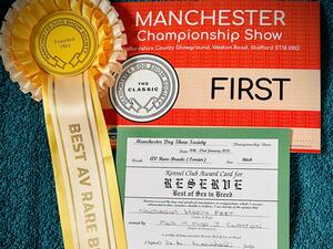 Manchester Championship show 2022