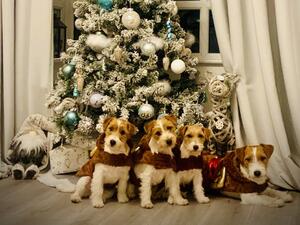 Christmas 2021