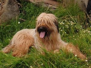 Doris at 18 months