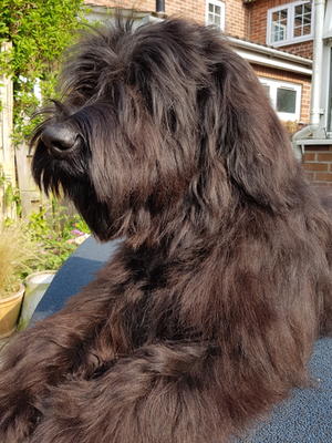 Desmond at 8 months