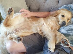 Snuggles on the sofa