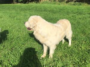 Summer enjoying our countryside.