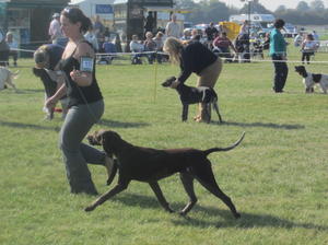 Lara (at driffield)
