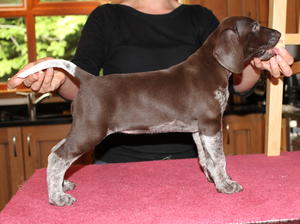 Nina at 6 weeks