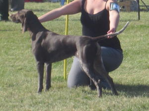 Lara at Driffield 2011
