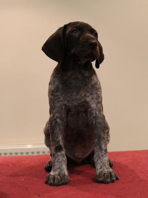 At 6 weeks