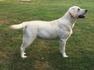 Chilly at 10 months