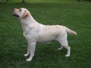 Hattie at 4 years