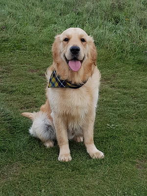Hugo