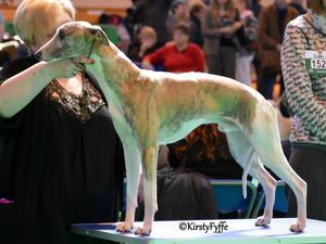 Sire