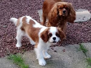 Nancy with her friend Minnie