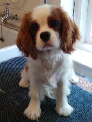 Nancy at 4 months