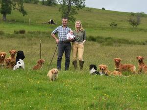 We specialise in Gundogs