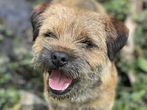 Happy smiling lad!