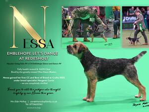 B.O.B. CRUFTS EMBLEHOPE LET'S DANCE AT REDESHOLT