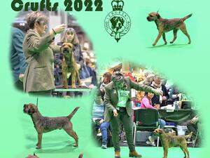 CRUFTS 2022