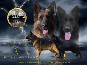 Thor and Fame