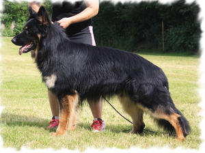Jax 22 months old