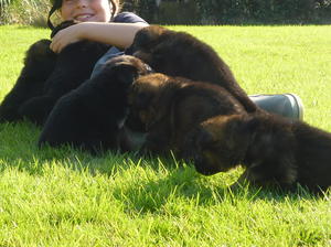 Fun in the sun aged 4 weeks