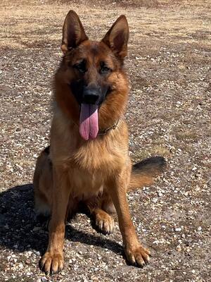 Mum - Mascani Saskia