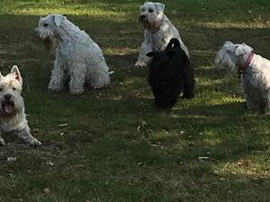 Family Group Picture