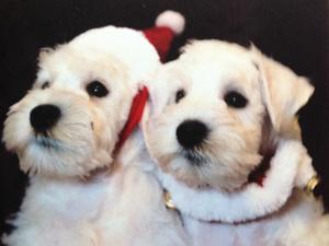 Lilly & her Brother Charlie