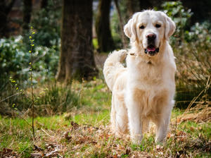 This is Griff - Libby's son