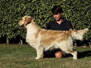 Olvinglay Locksmith (Loki). Dad