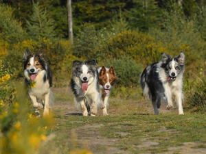 Group shot