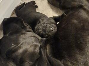 Mum and baby 5 days old..!