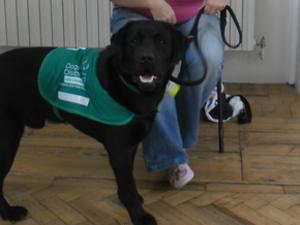 Digger at the training centre