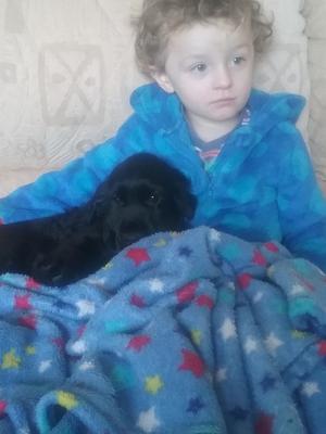 Sniper watching TV with Oliver