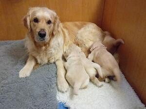 GOOD MUM!