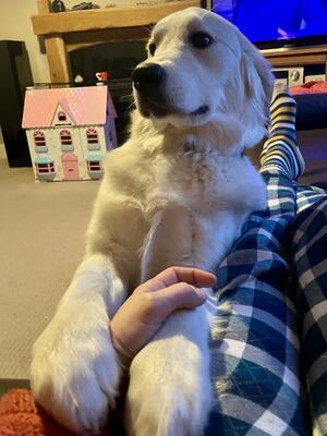 Incredibly affectionate girl 🥰