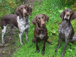 Parsley with her litter brother and Granny