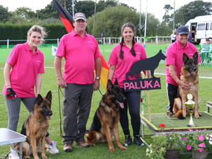 2nd in the Kennel group 2016 Briish Sieger Show