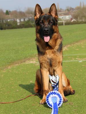 Quattro 13 months.