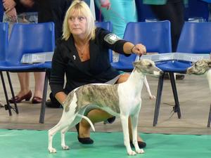 Palmik Kandalama Dusk Till Dawn JW