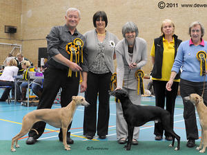 Best in Show SWWC Open 2011