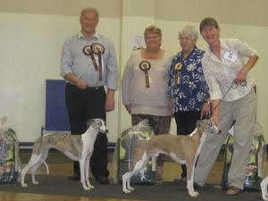 Ch Palmik Magical Whispers JW (left) CC & BIS