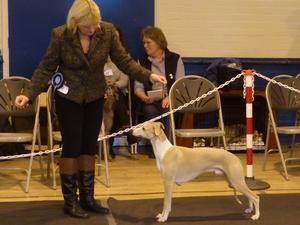 Palmik Live To Tell JW