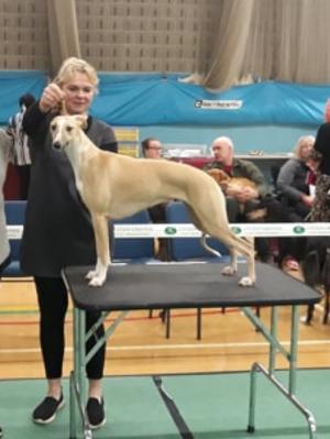 Palmik Carousel For Huntinghill JW