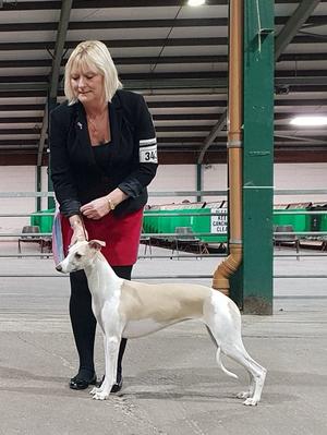 Bryntreia Whispered Love At Palmik JW