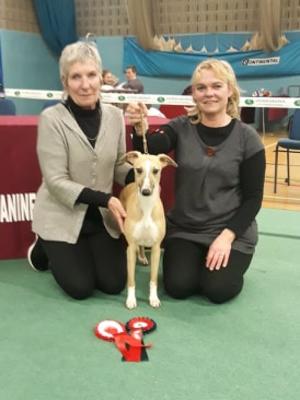 Palmik Carousel For Huntinghill JW