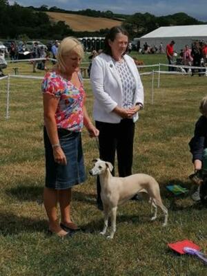 Ch Palmik Chasing Rainbows JW