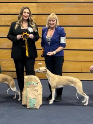 Palmik Take Me Home JW