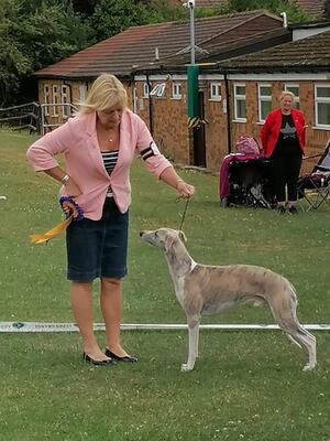 Palmik King Arthur JW